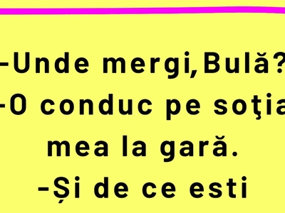 BANC | Bulă își conduce soția la gară