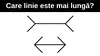 Test IQ | Care linie este mai lungă? Doar 1% din oameni răspund corect în 6 secunde