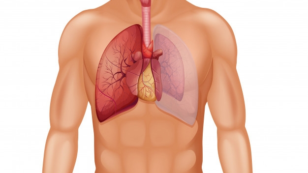 Care sunt simptomele pneumotoraxului