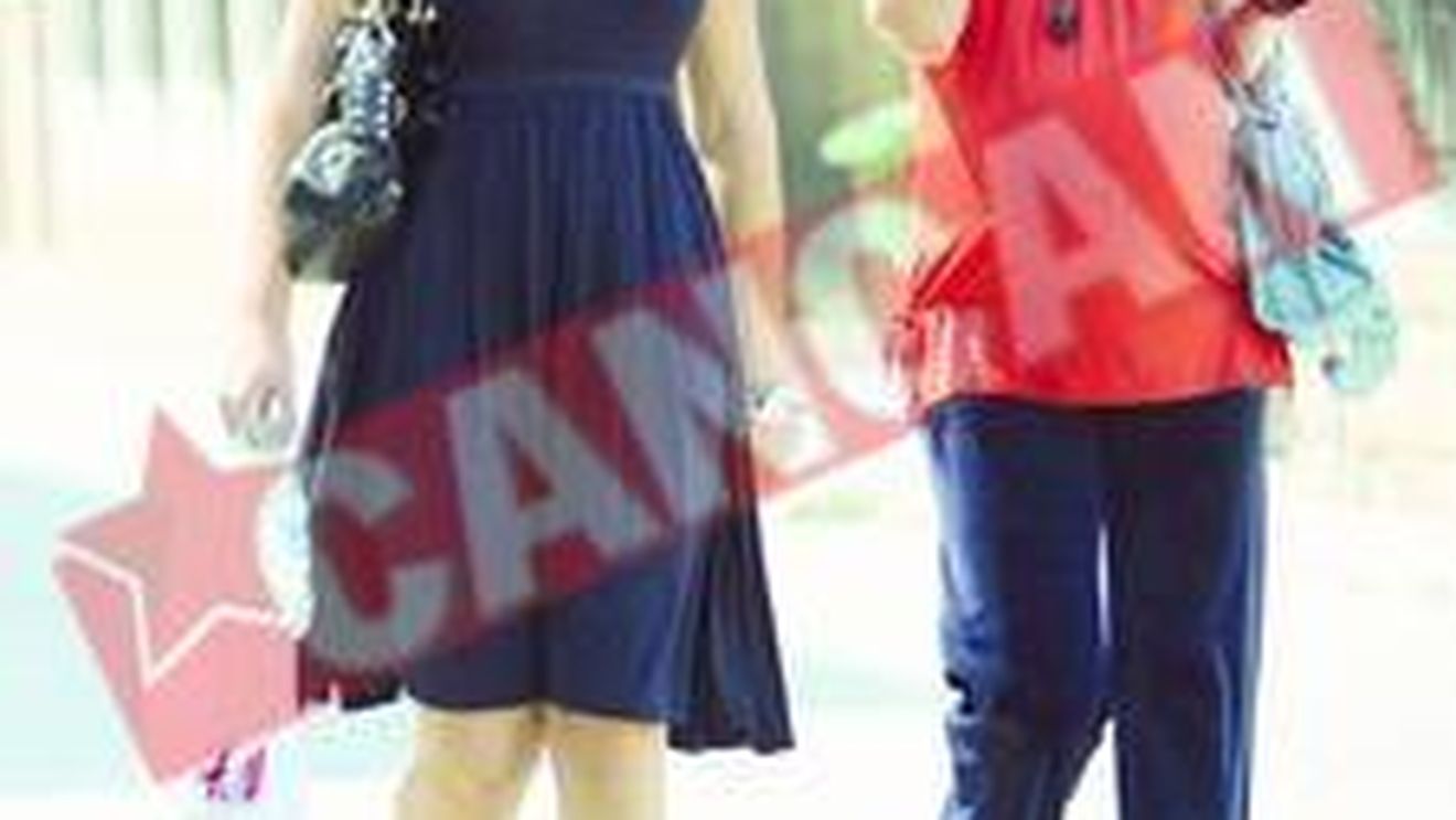 Familia Dan Petrescu iese la "incalzire": Vine copilul!