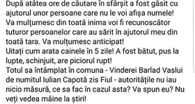 Galerie foto - poza 2