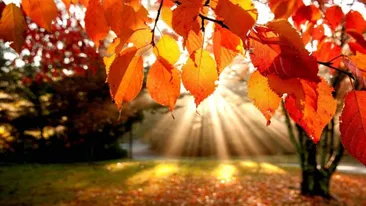 METEO 17 OCTOMBRIE: Vremea se menţine caldă