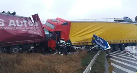 Galerie foto - poza 3