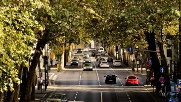 Românii care vor plăti impozitul la jumătate pentru mașina lor. Guvernul a decis