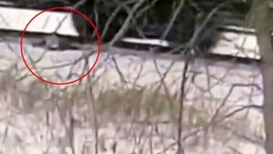 Caz șocant! Un băiețel de 11 ani a rămas fără picioare, după ce a căzut de pe un tren aflat în mișcare
