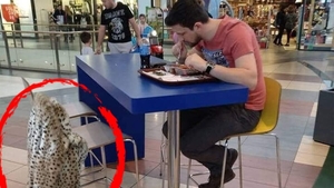 Poveste înduioșătoare dintr-un mall bucureștean. "Își comandă mâncare mereu singur și are o haină de femeie pe care o așează pe spătarul scaunului din fața lui"