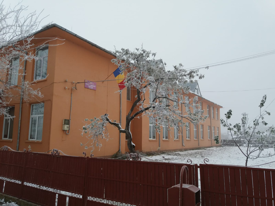 La Școala din Dăneasa a început o anchetă