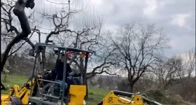 Galerie foto - poza 3