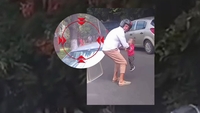 Imagini surprinzătoare din Capitală! O fetiță a fost salvată de pe prima bandă a unui bulevard. Ce făcea mama