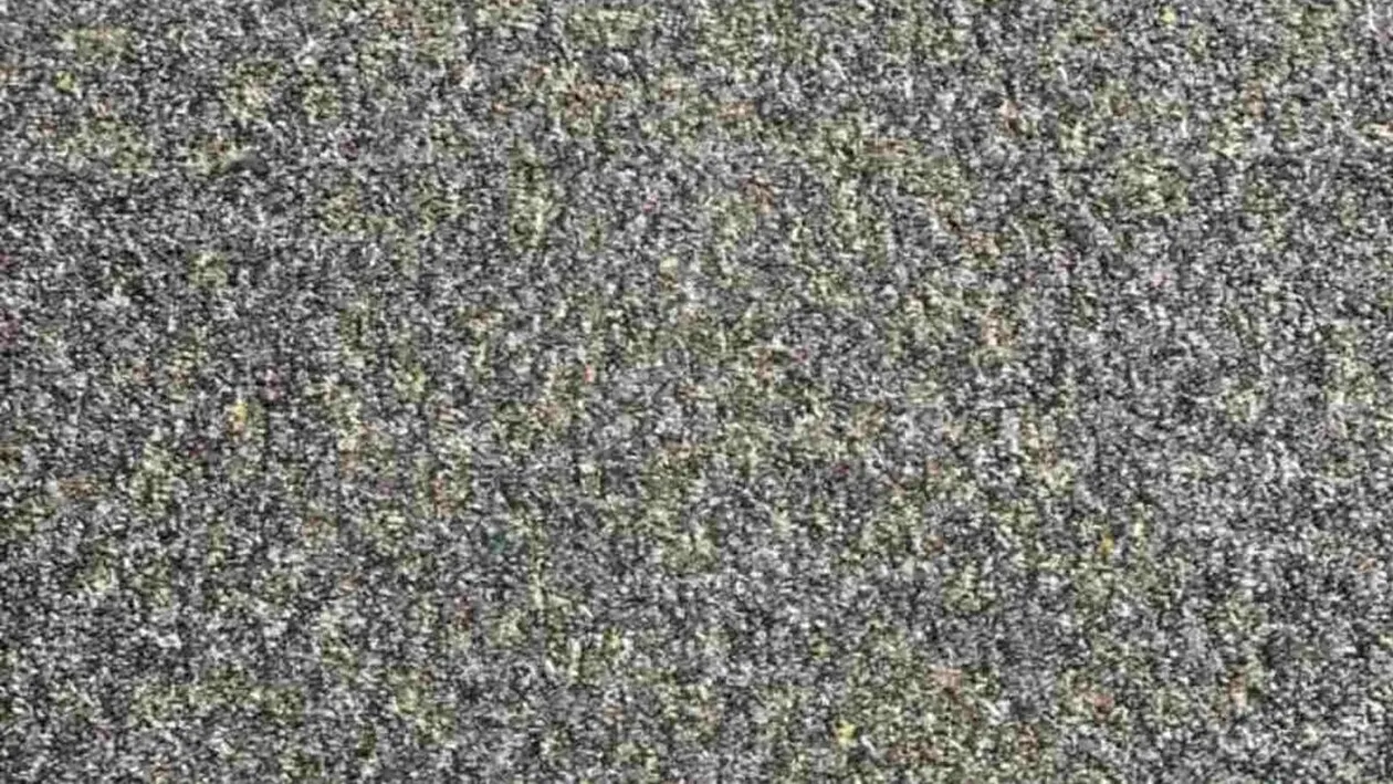 Test de inteligență | 98% din oameni nu văd unde se ascunde mina de creion din această poză