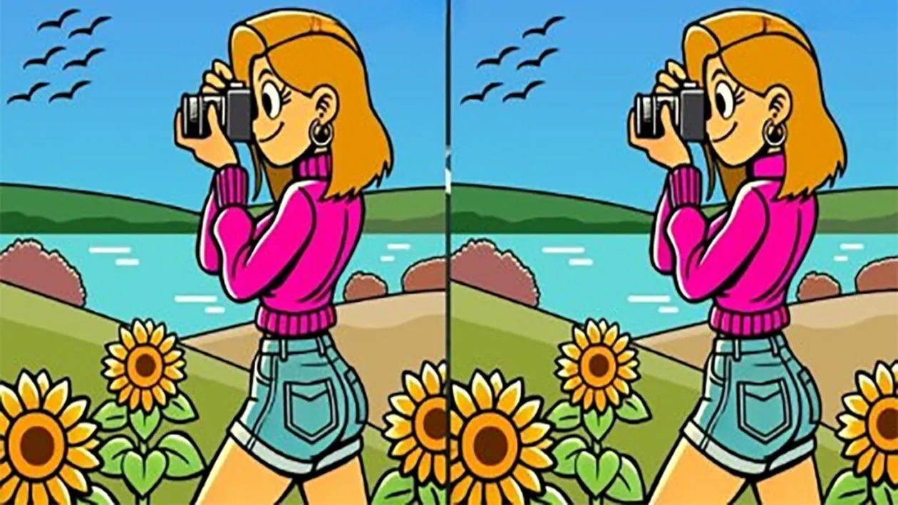 TEST IQ | Există 3 diferențe între aceste două poze. Găsiți-le în cel mult 31 de secunde!