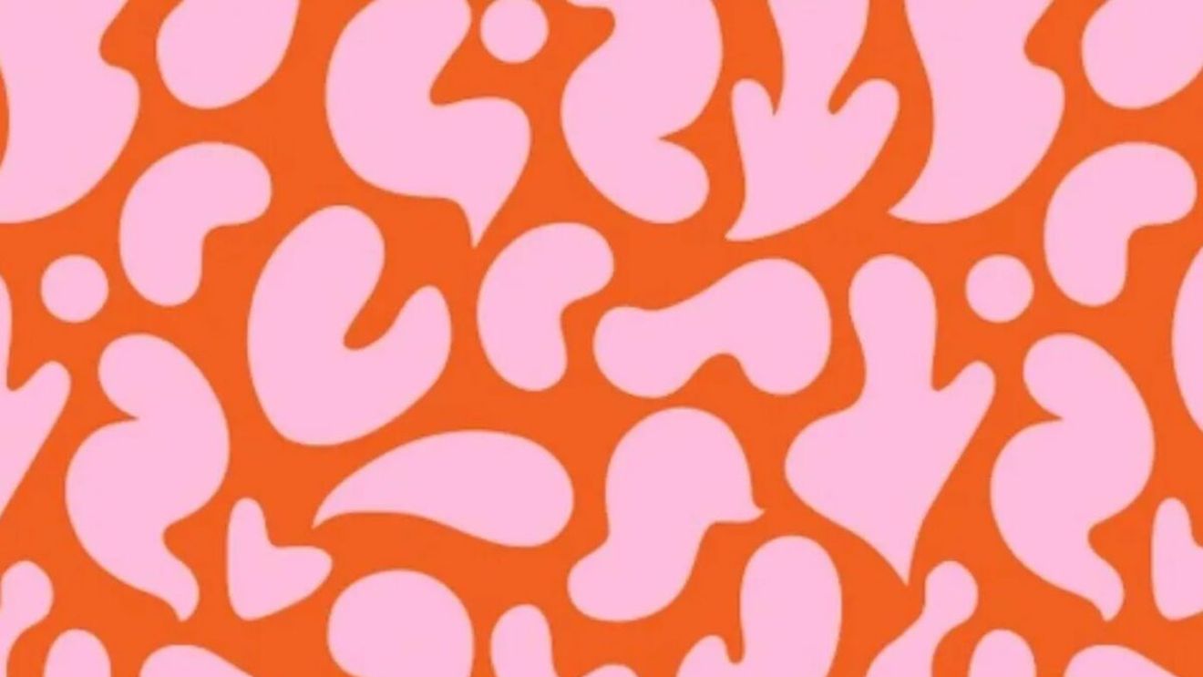 Iluzie optică virală | În această poză se ascunde o siluetă de pisică. O poți găsi în 5 secunde?