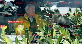 Galerie foto - poza 4