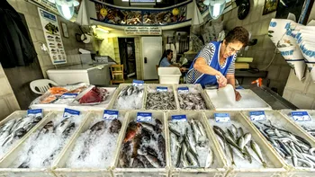 Pericolul descoperit în macroul congelat din România. Specialiștii au retras produsele de pe piață