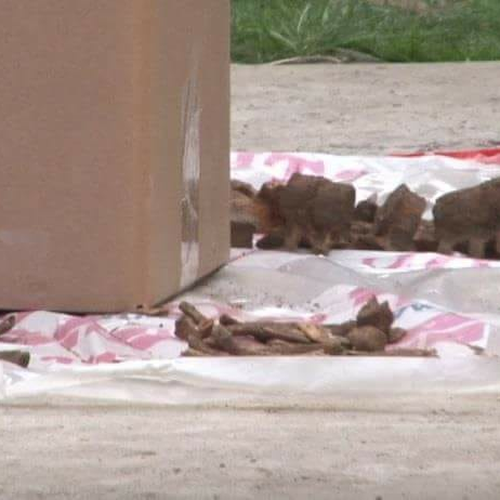 Imagine Galerie #1