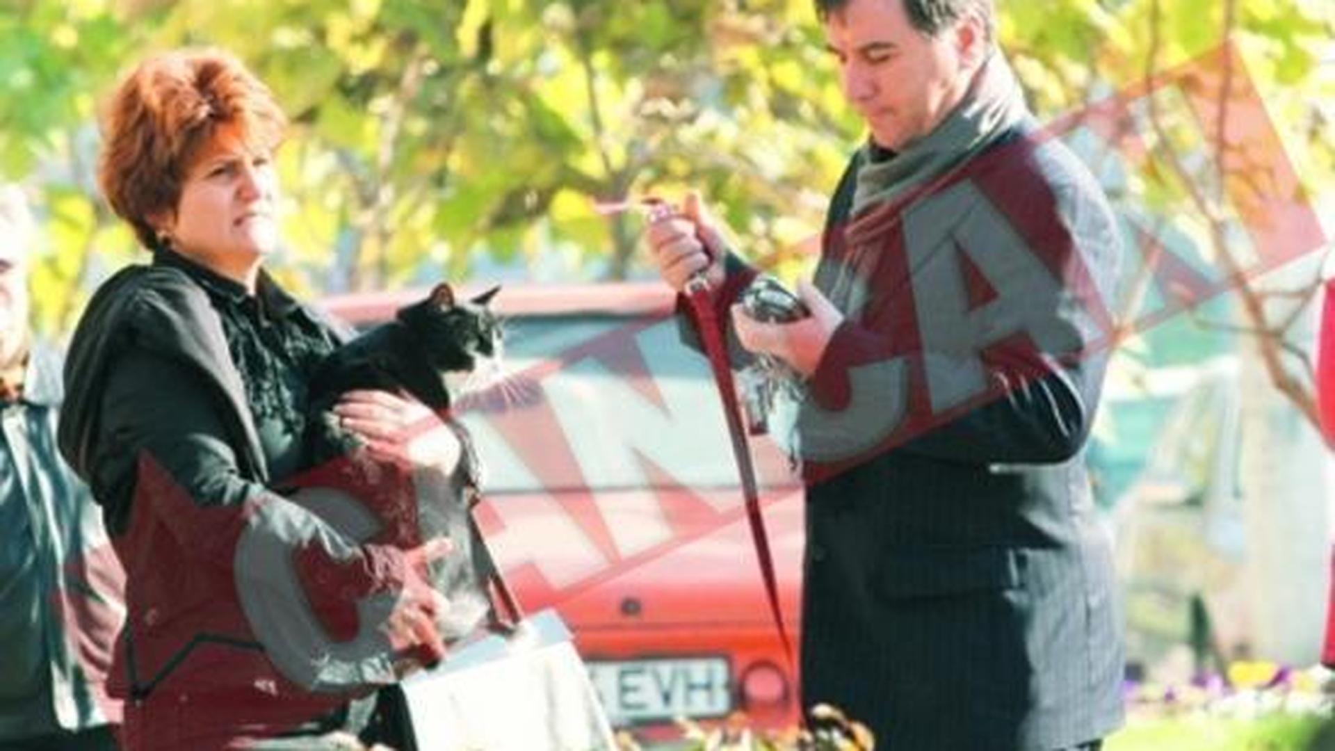 Isi plimba cainele la patru ace