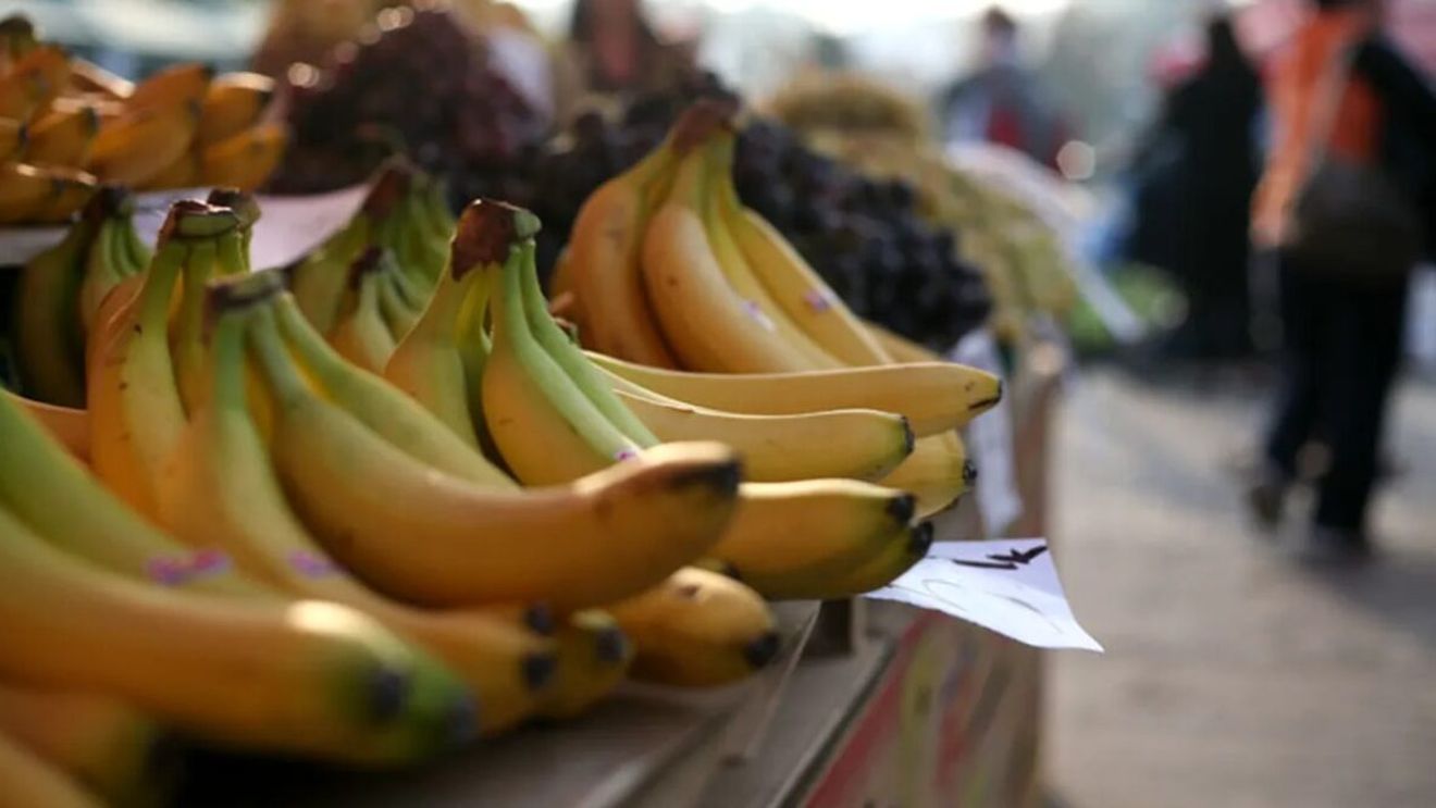 România a exportat banane în valoare de 3.400.000 euro. Cum a fost posibil
