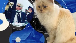 Pisica-moștenitoare a lui Karl Lagerfeld are menajeră, stilist personal și doarme pe haine de lux! Choupette nu acceptă comenzi și trăiește ca o divă!