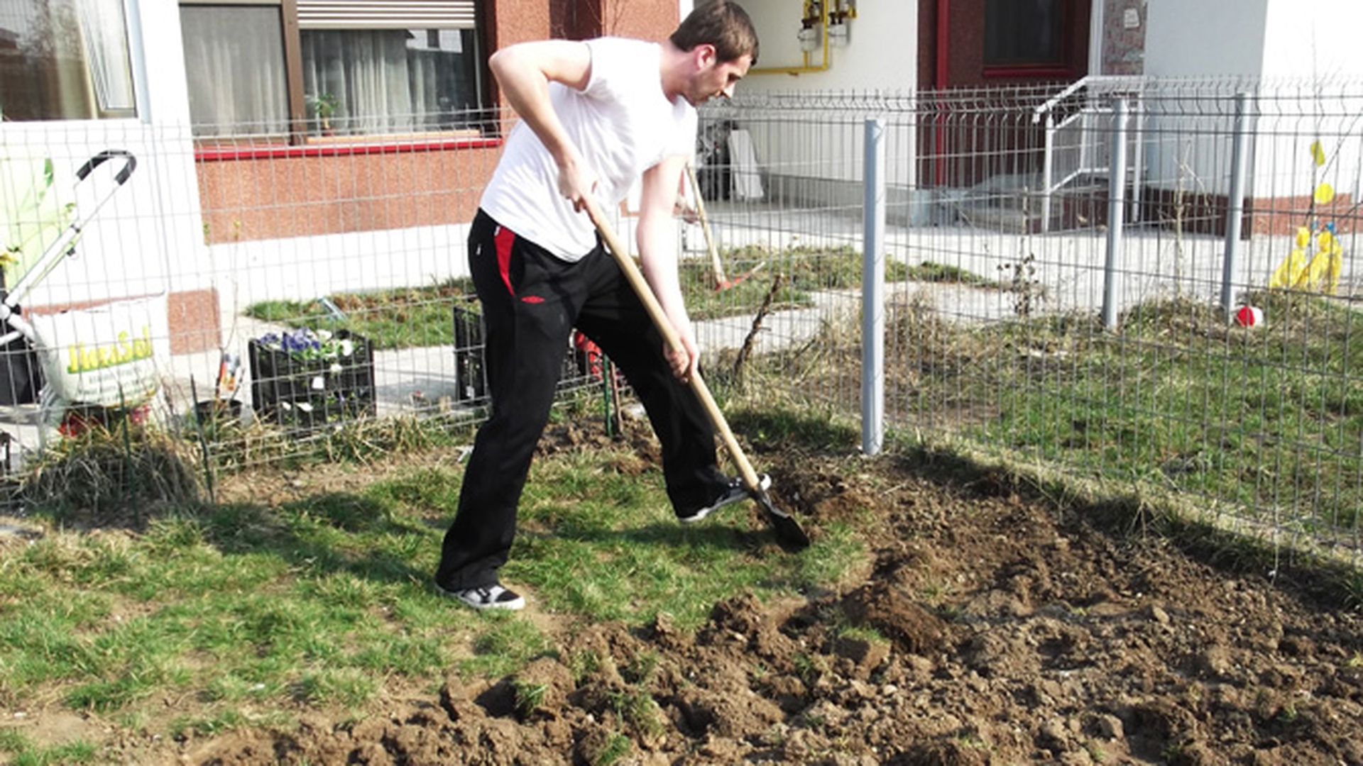 Dan Cruceru a trecut la lopata! Uite cum munceste in gradina!
