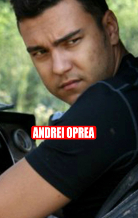 Andrei Oprea s-a cazat într-unul din cele mai scumpe complexe din Emiratele Arabe Unite