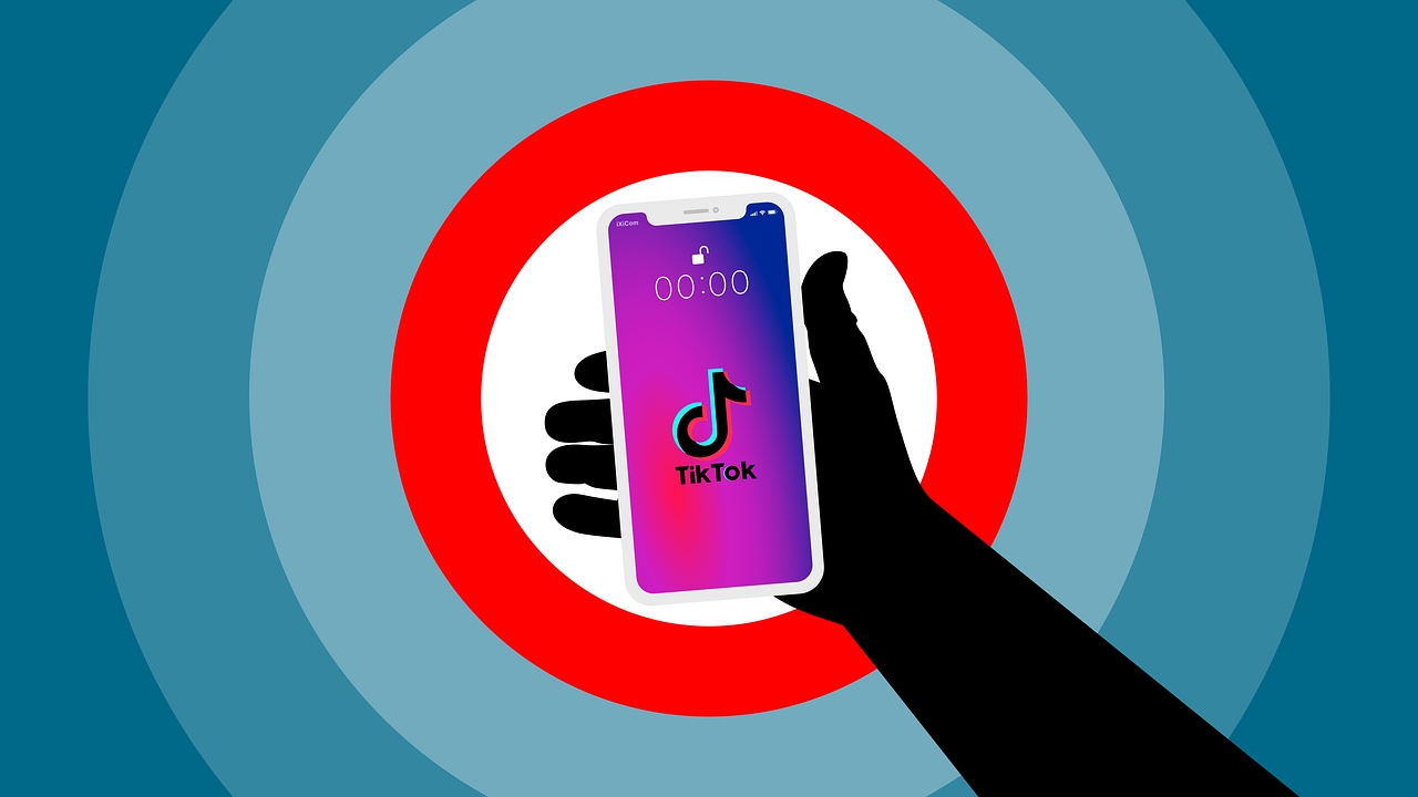 Noul trend periculos care a acaparat TikTok-ul! Sora face clipurile video atât de bine, încât poți jura ca sunt reale