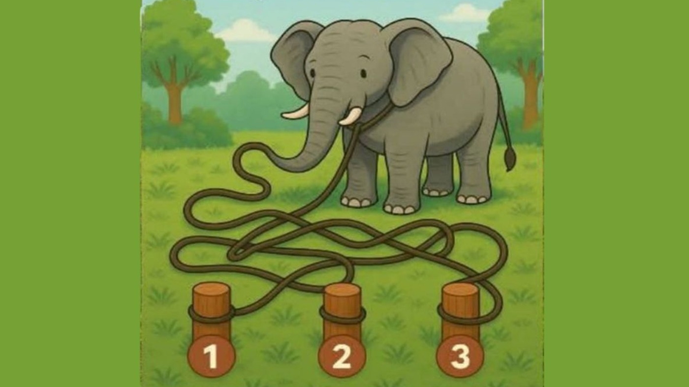 Test de inteligență exclusiv pentru genii | 1, 2 sau 3: Care este răspunsul corect?