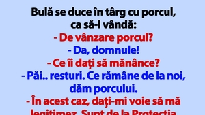 BANC | Bulă se duce în târg cu porcul, ca să-l vândă