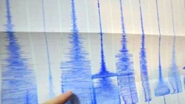 Un nou cutremur s-a produs in Vrancea in aceasta dimineată. Vezi ce magnitudine a avut