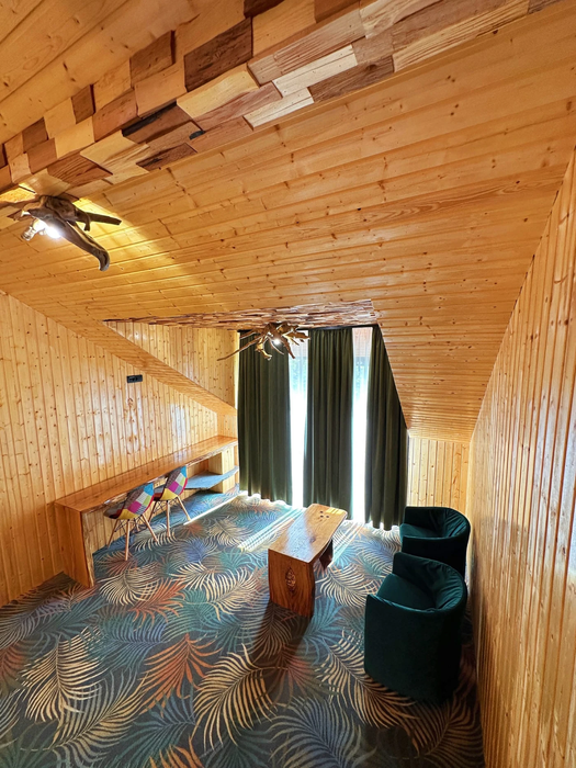 Pensiunea unde s-a filmat Buzz House 3