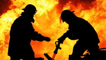 Uite ce au patit mai multi turisti la mare! Nu o sa iti vina sa crezi