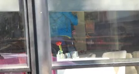 Galerie foto - poza 4