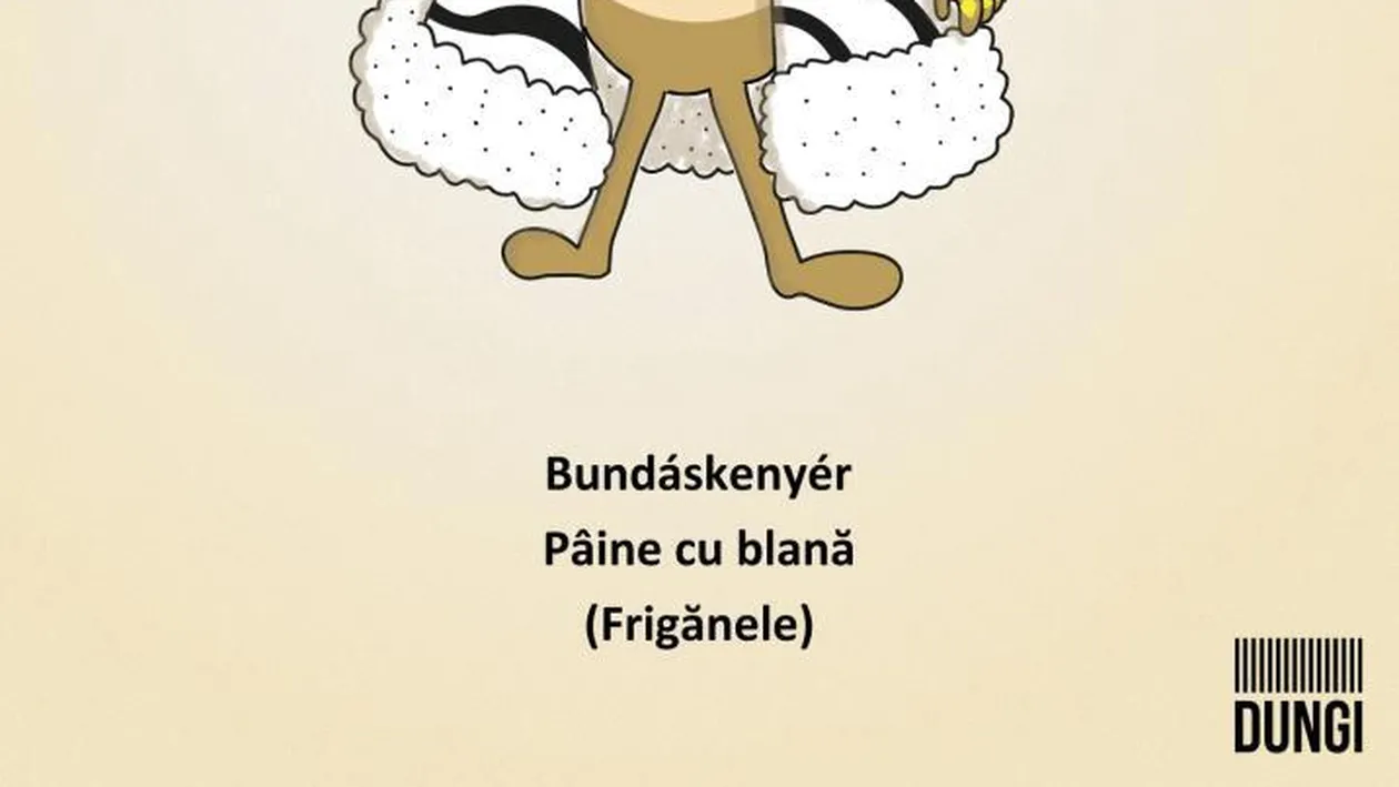 Cum sa mananci “Paine cu blana” si sa-ti “sa-ti smulgi saliva”? Doi clujeni lucreaza la cel mai abstract dictionar din Romania!