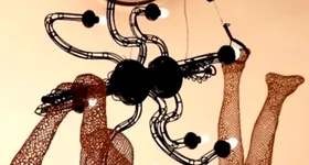 Galerie foto - poza 1