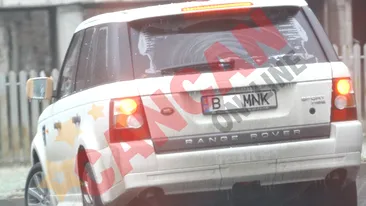 Delia umbla cu oglinda bandajata