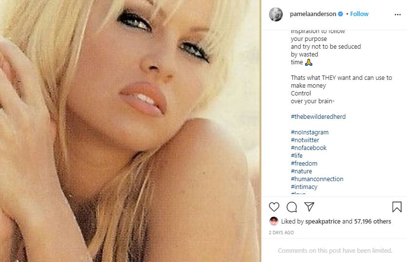 Pamela Anderson s-a căsătorit în secret cu Dan Hayhurst! Cum arată rochia pe care actrița a îmbrăcat-o când a devenit mireasă pentru a cincea oară | FOTO & VIDEO