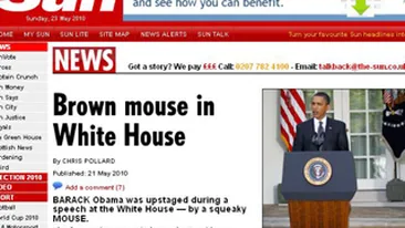 VIDEO Un soarece la Casa Alba! Rozatoarea si-a facut aparitia cand Obama se pregatea de discurs!