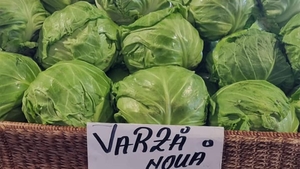 De necrezut! Câți lei costă 1 kilogram de varză nouă în piețele din România