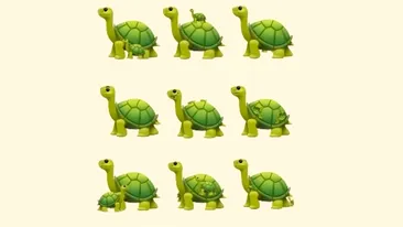 TEST IQ | Câte broaște țestoase sunt, de fapt, în această imagine?