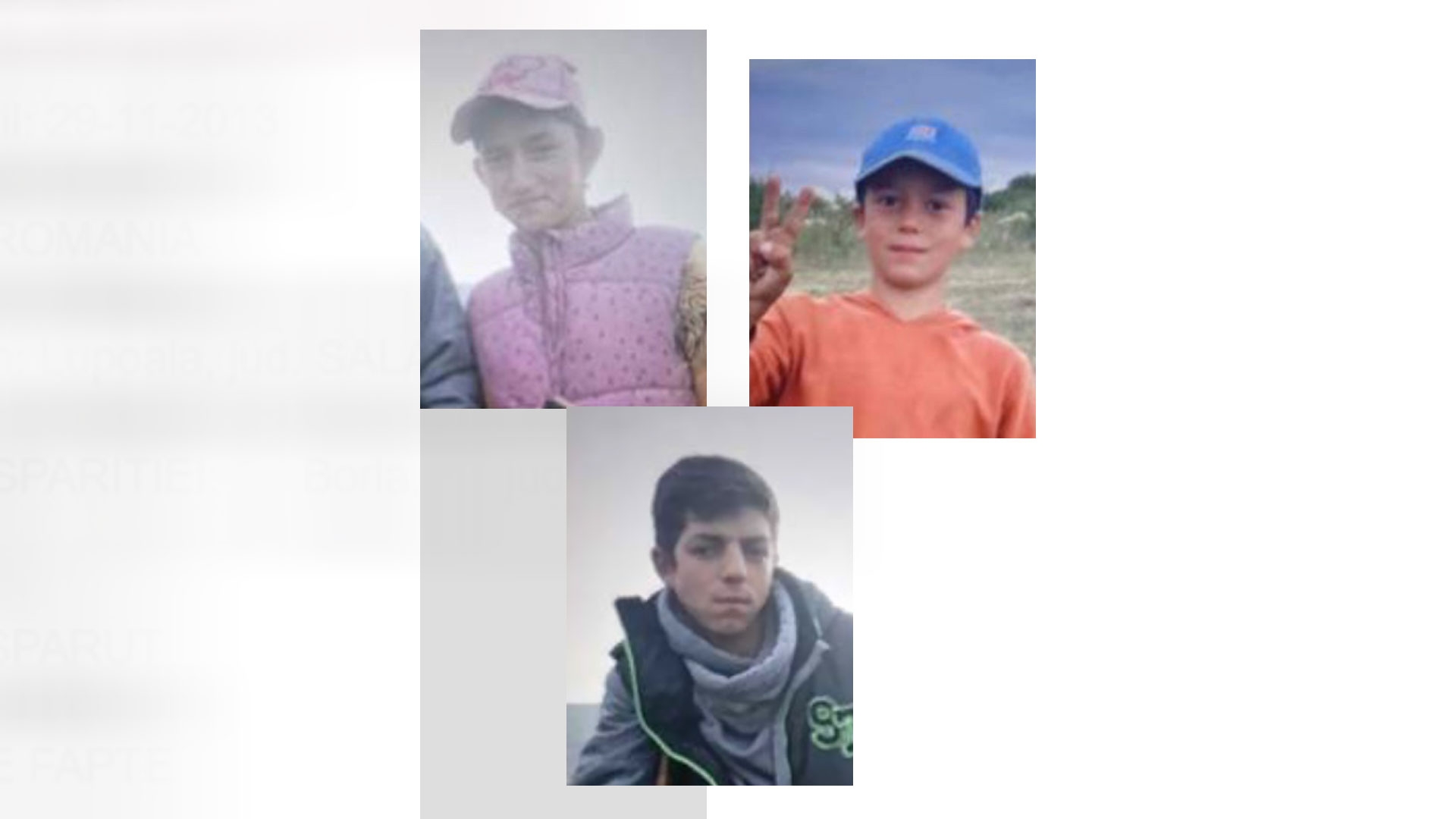 Alertă de dispariție în Sălaj! Trei copii au plecat de la o stână și nu au mai fost găsiți