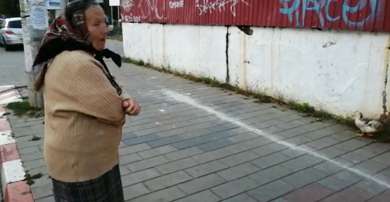Fabulos! O bătrână din Botoșani a ieșit cu o rață la plimbare prin oraș. Cum a reușit să scape fără să fie amendată de polițiștii care au verificat-o