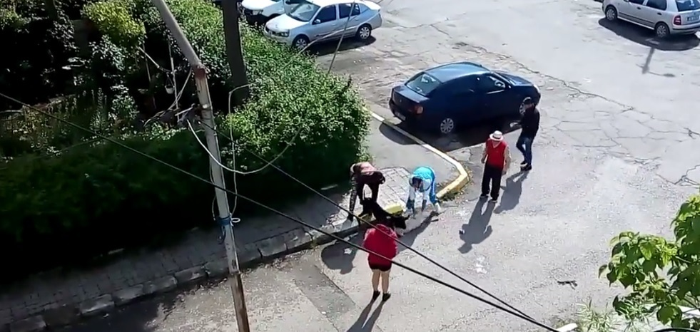 Scene terifiante în Târgovişte: un bichon a fost atacat de un pitbull, sub ochii trecătorilor