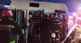 Galerie foto - poza 3