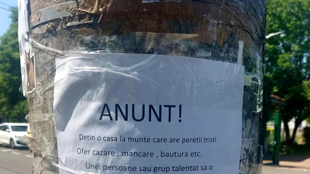 Anunț viral | Un clujean oferă cazare gratuită și mâncare, într-o vilă la munte. Are o singură condiție!