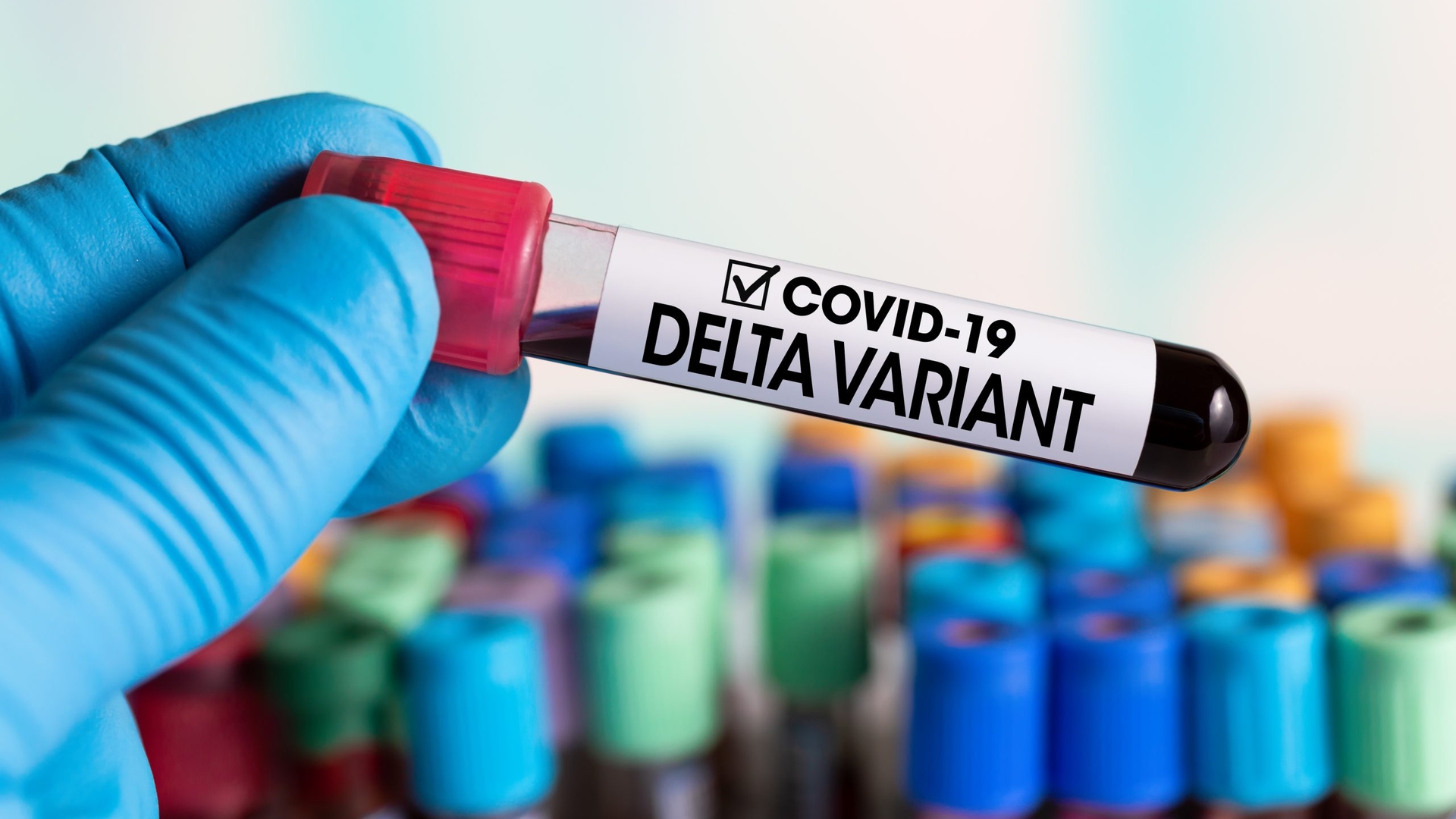 13 pacienți, infectați cu tulpina Delta, au fost internați la Spitalul de Boli Infecțioase Iași. Patru dintre ei se află la ATI