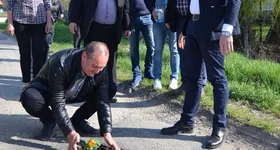 Galerie foto - poza 3