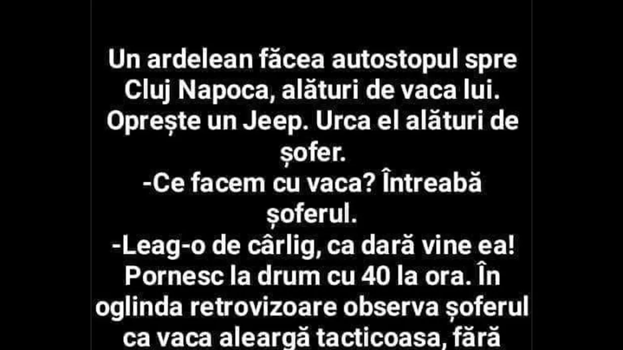 BANC | Un ardelean făcea autostopul spre Cluj-Napoca, alături de vaca lui
