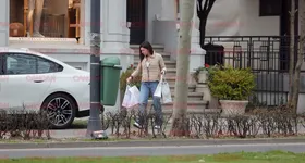 Galerie foto - poza 4