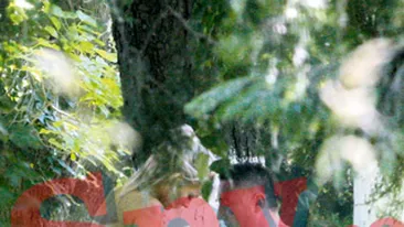 Dragoste sub cerul liber, indiferent de cate lume e in jur! Cele mai tari momente cu vedete fotografiate inainte, dupa sau in timp...ce dadeau frau liber pasiunii!