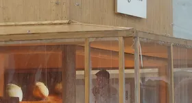 Galerie foto - poza 1