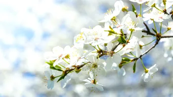 Prognoza meteo azi, 7 martie 2026. Vreme schimbătoare în estul României: dimineți reci și maxime de până la 15°C